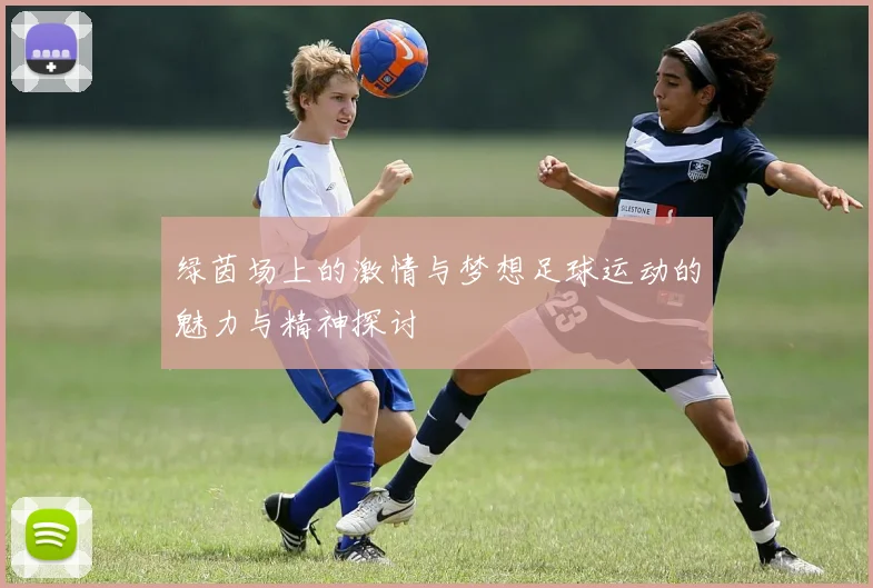 绿茵场上的激情与梦想足球运动的魅力与精神探讨