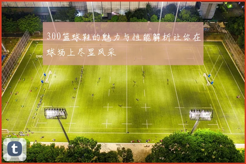 300篮球鞋的魅力与性能解析让你在球场上尽显风采